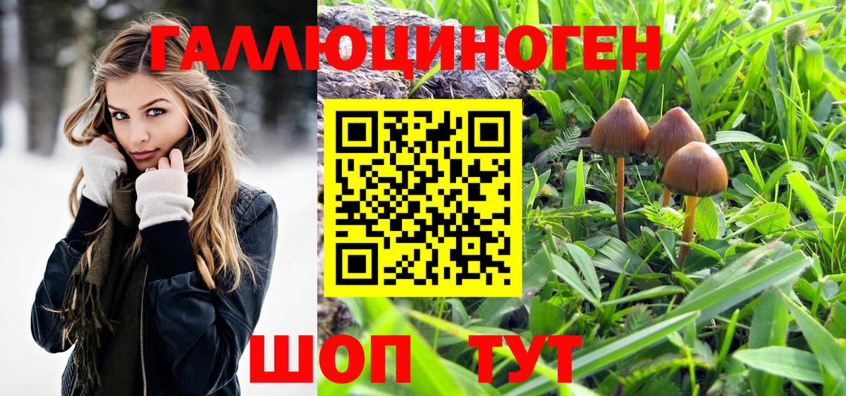 Златоуст  Галлюциногенные грибы ЛСД  Вход с VPN 